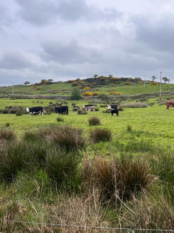 Lacken Farmyard Kilmihil Bagian luar foto