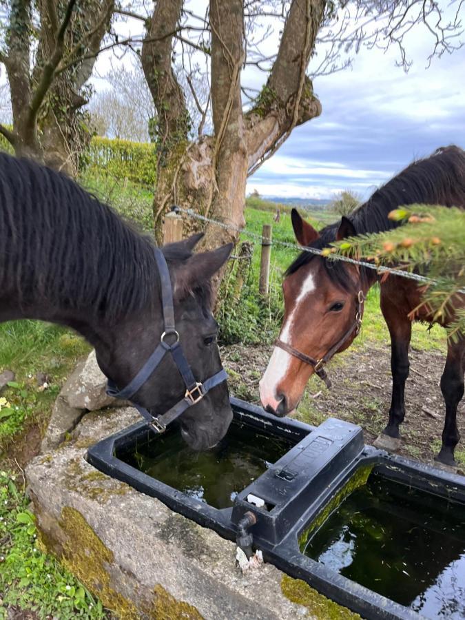 Lacken Farmyard Kilmihil Bagian luar foto