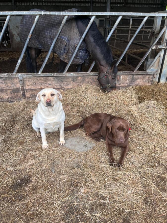Lacken Farmyard Kilmihil Bagian luar foto