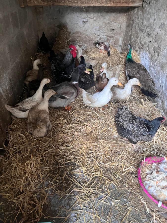 Lacken Farmyard Kilmihil Bagian luar foto